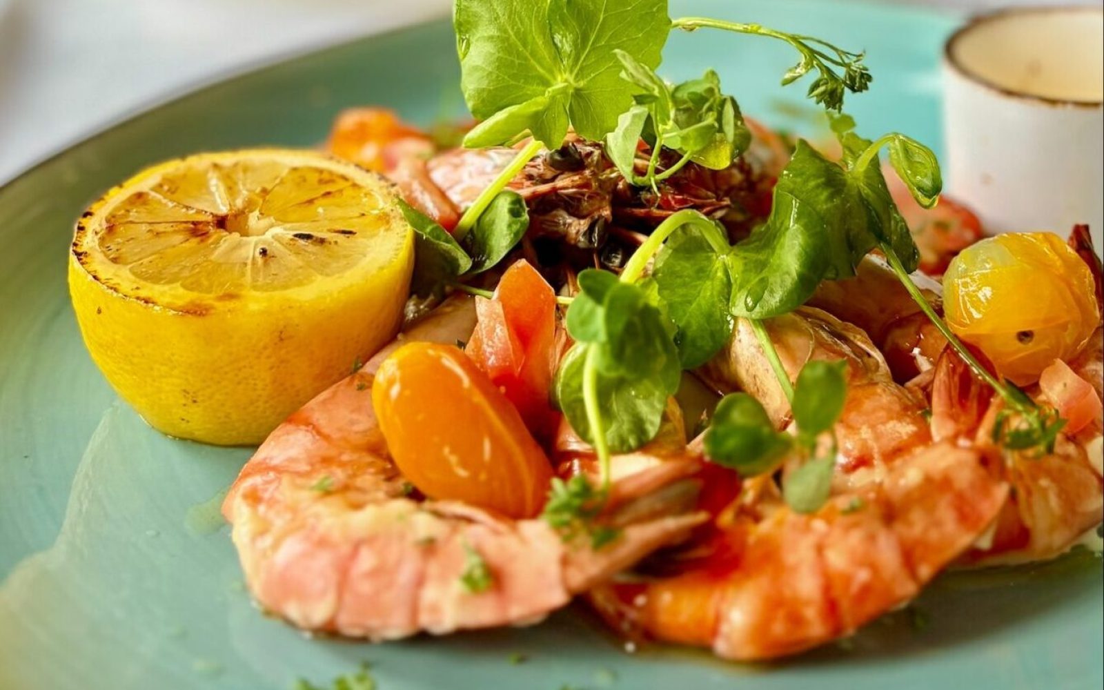 gamba avond - brasserie het zomerhuis